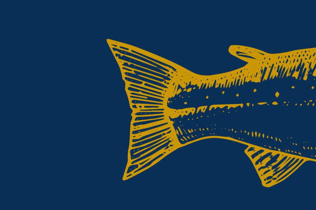 A close of of the Salt + Smoke logo, with a navy background and gold illustration of a salmon tail