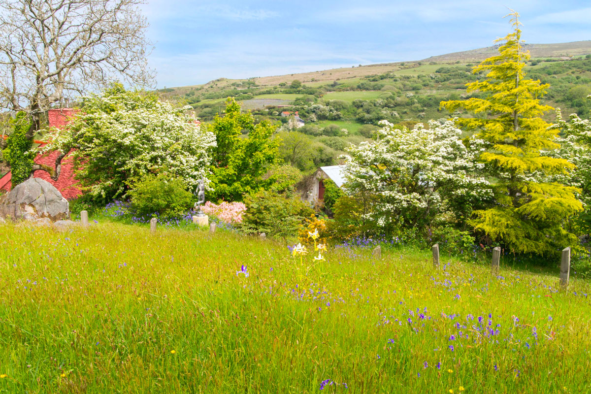 A landscape image of a field of lush grass in the foreground with a bright blue sky and hills in the background