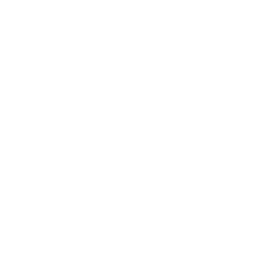 Executive Cars Wales logo