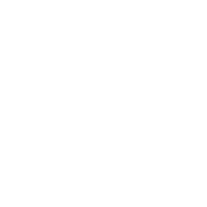 Cardigan Castle logo