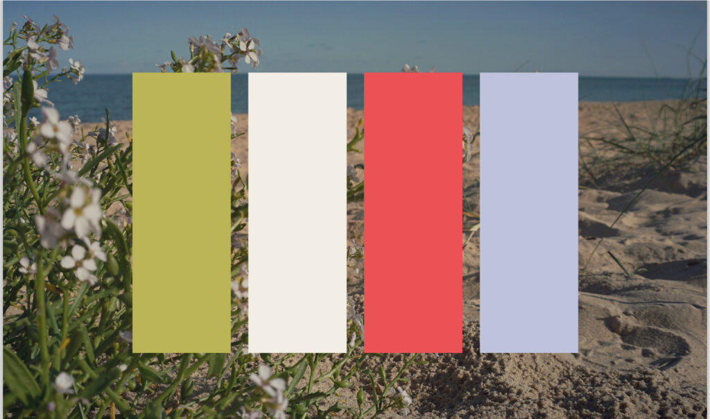 Four colour swatches in moss green, cream, coral, and pale lilac over an image of coastal plants on the beach