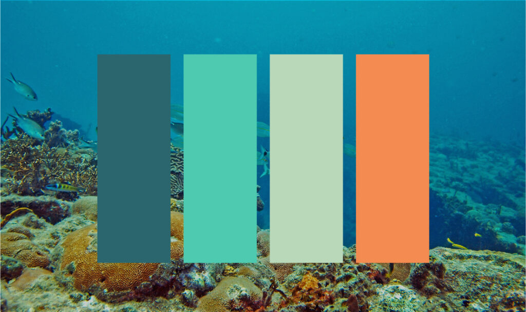 Four colour swatches in deep teal, turquoise, pale seafoam green, and orange over an image of a coral reef underwater